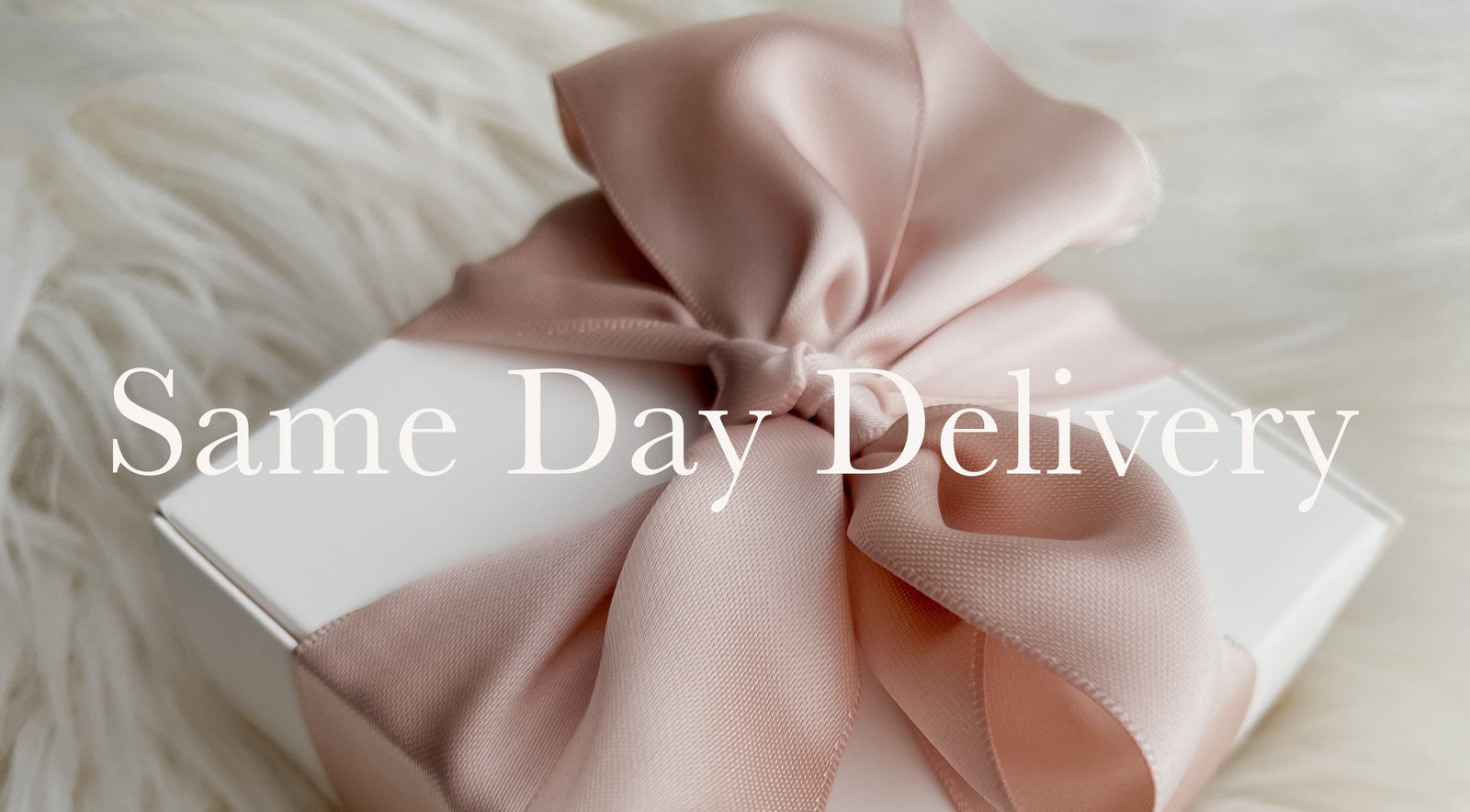 Same Day Delivery (Klang Valley)