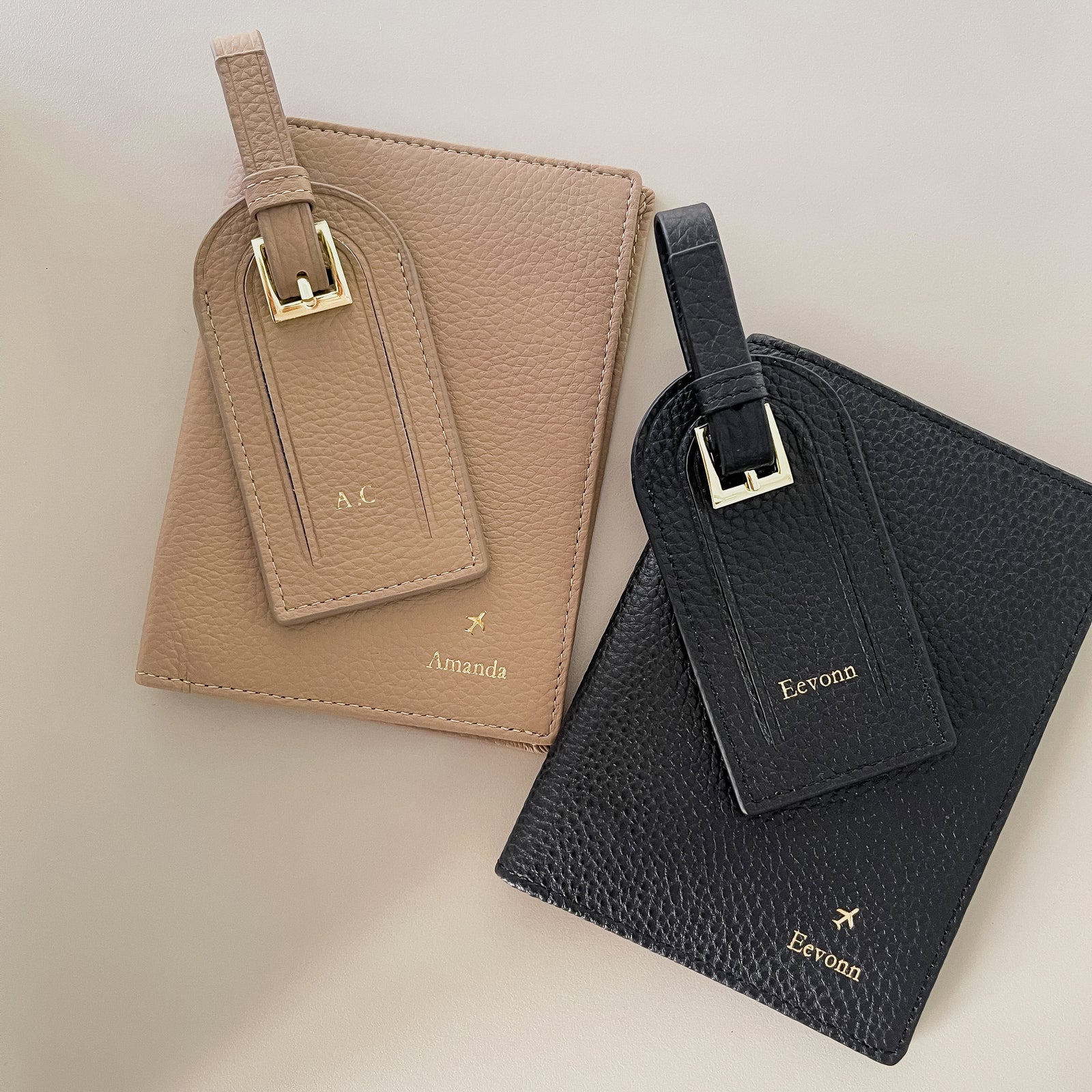 Jetsetter Leather Passport Holder & Luggage Tag Box Gift Set