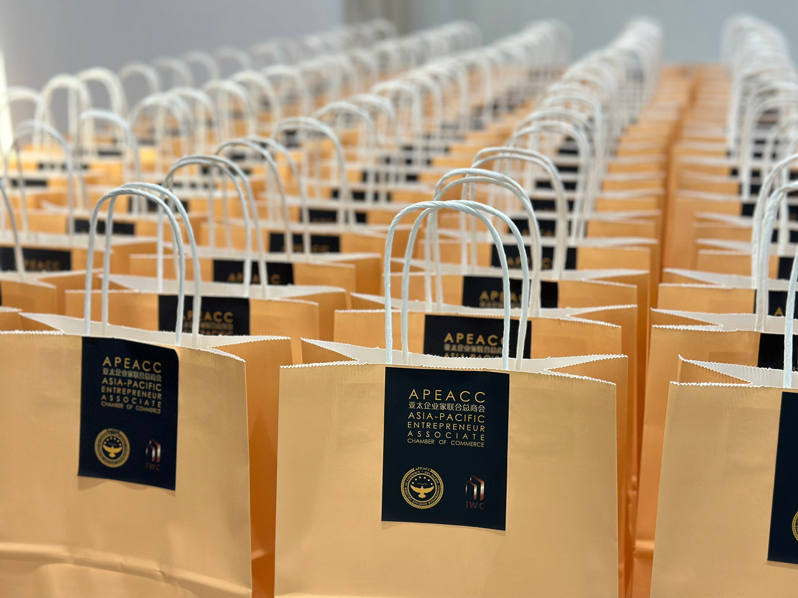 Collapsible Organizer Tray Gift Set