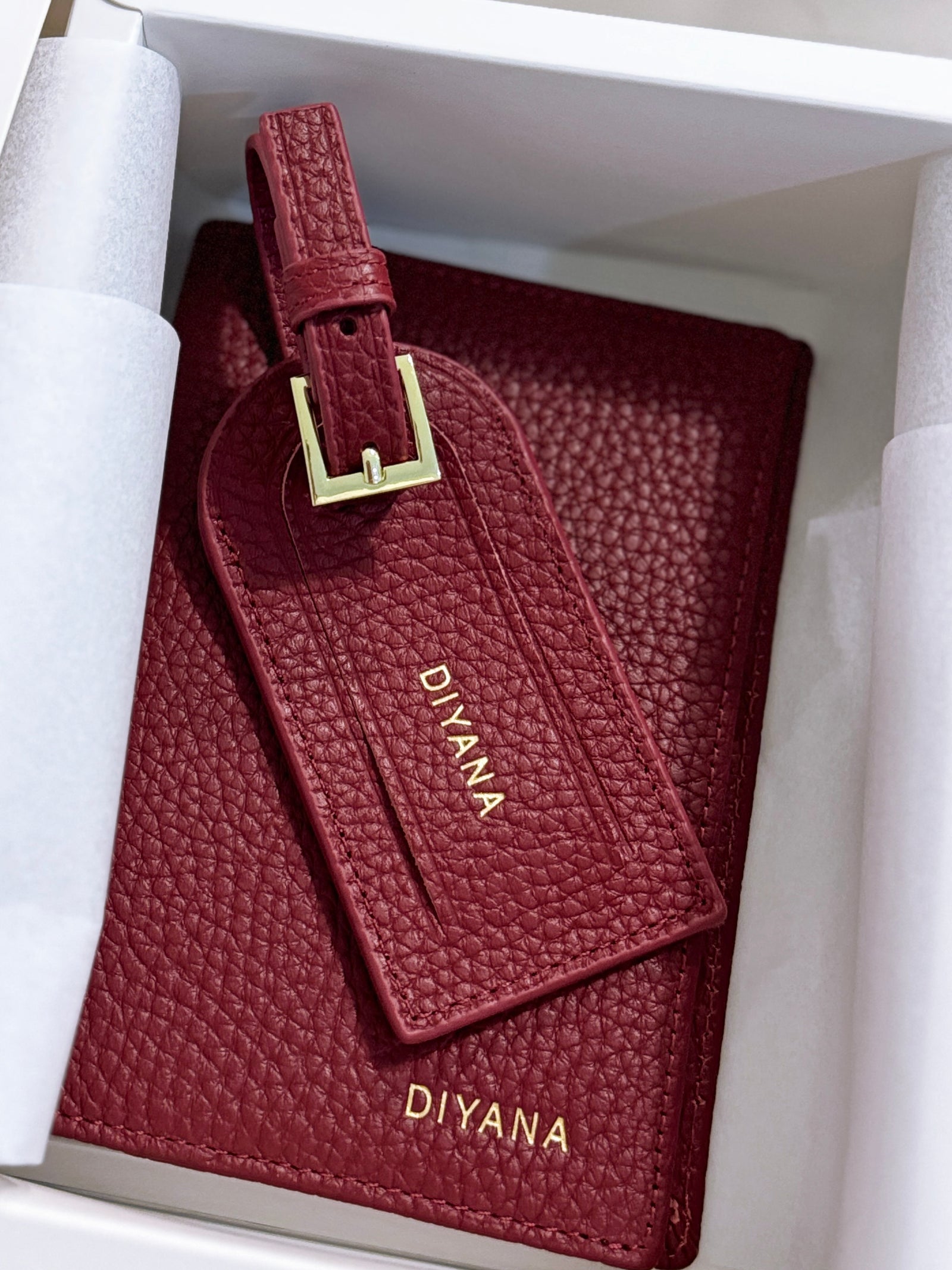 Jetsetter Passport Holder & Luggage Tag Set