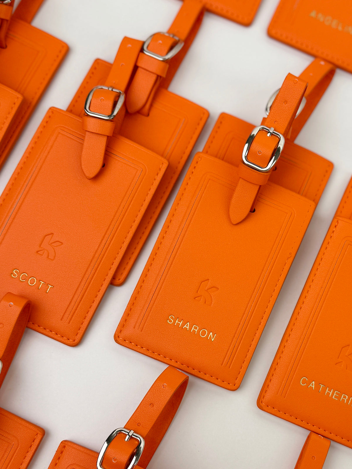 Oliver Luggage Tag